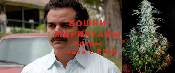 spice Гусиноозёрск