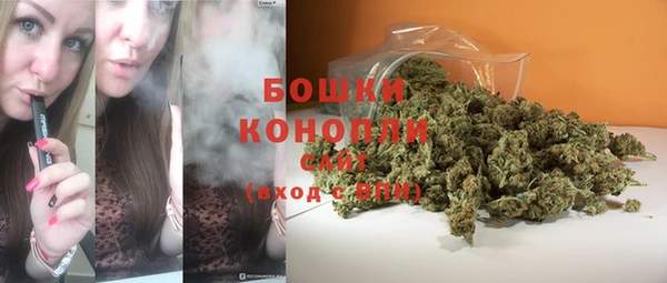 МДПВ Гусев