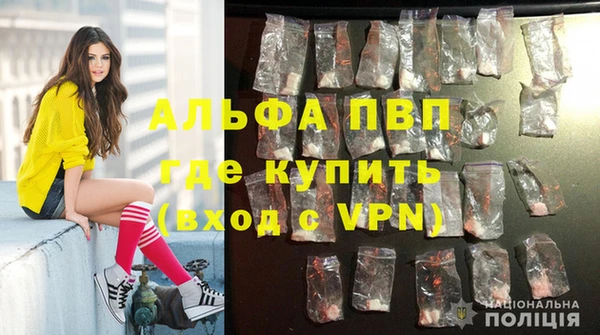 spice Гусиноозёрск