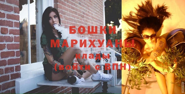 spice Гусиноозёрск