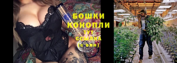 spice Гусиноозёрск