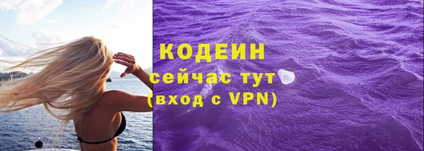 МДПВ Гусев