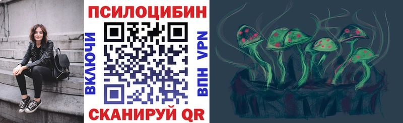 Купить закладки  Инза  Галлюциногенные грибы Psilocybine cubensis 