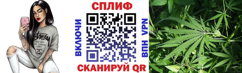 Купить закладки  Инза  Шишки марихуана THC 21% 